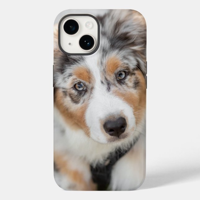 Coques Case-Mate iPhone Animaux de bébés cutest | Australian Shepherd Pupp (Verso)