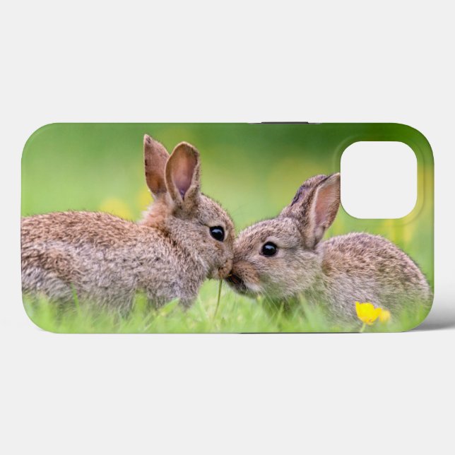 Coques Case-Mate iPhone Animaux de bébés cutest | Bunny Kiss (Verso (horizontal))