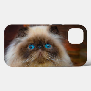 Case-Mate iPhone Case Animaux de bébés cutest   Chat himalayen
