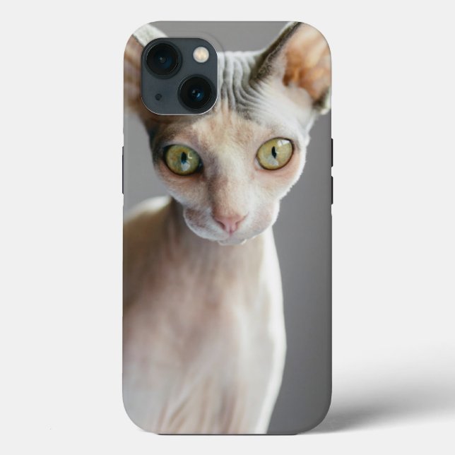 Coques Case-Mate iPhone Animaux de bébés cutest | Chat Sphinx (Verso)