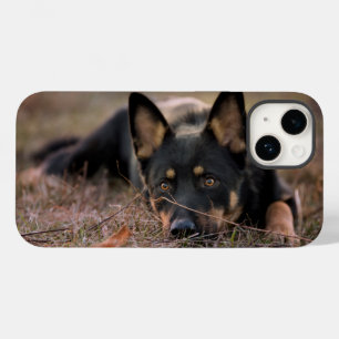 Coque Case-Mate iPhone Animaux de bébés cutest   Chiot berger allemand