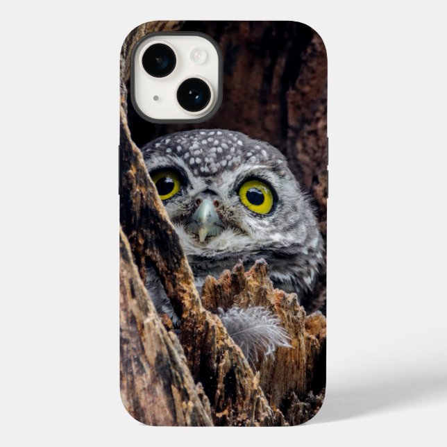 Coques Case-Mate iPhone Animaux de bébés cutest | Chouette tachetée (Verso)
