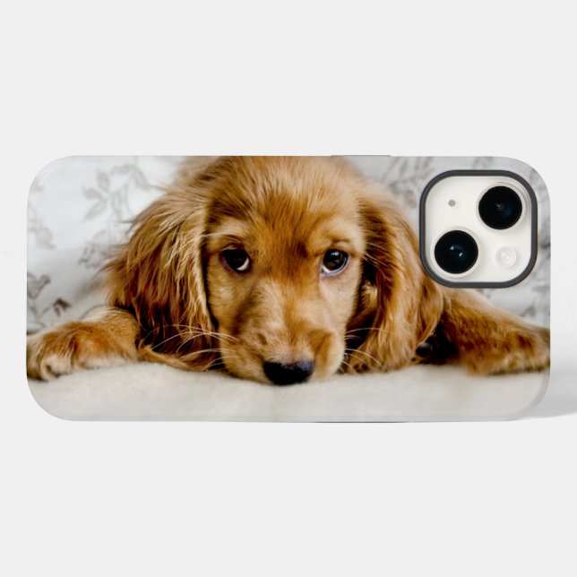 Coques Case-Mate iPhone Animaux de bébés cutest | Cocker Spaniel (Verso (horizontal))