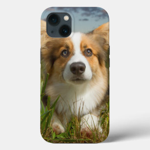 Case-Mate iPhone Case Animaux de bébés cutest   Corgi dans le nuage