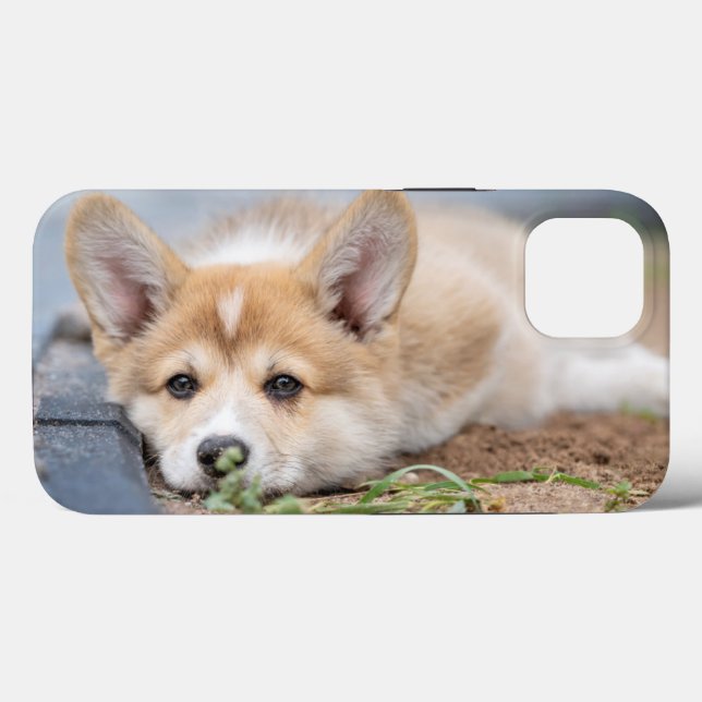Coques Case-Mate iPhone Animaux de bébés cutest | Corgi Laying in the Yard (Verso (horizontal))