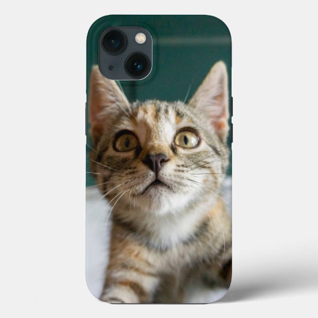 Coques Case-Mate iPhone Animaux de bébés cutest | Cute Tabby Kitten (Verso)