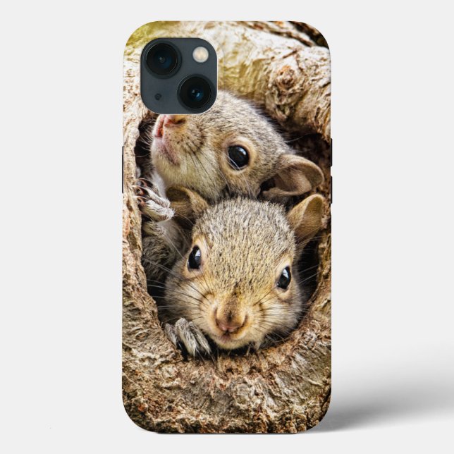 Coques Case-Mate iPhone Animaux de bébés cutest | Écureuils curieux (Verso)