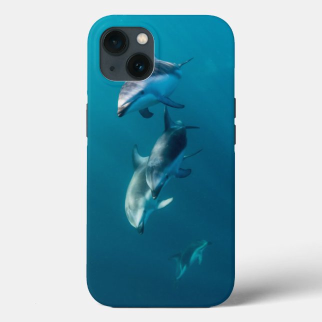 Coques Case-Mate iPhone Animaux de bébés cutest | Famille de dauphins (Verso)