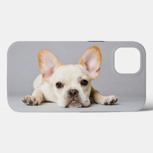 Case-Mate iPhone Case Animaux de bébés cutest French Bulldog Lying Dow