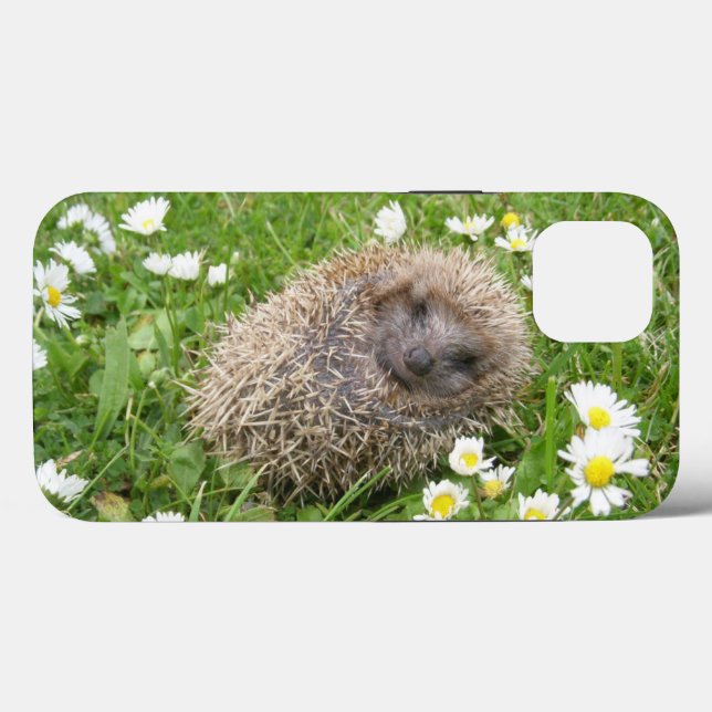 Coques Case-Mate iPhone Animaux de bébés cutest | Hérisson espagnol (Verso (horizontal))