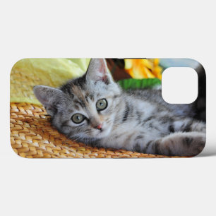 Case-Mate iPhone Case Animaux de bébés cutest   Lounge Kitten