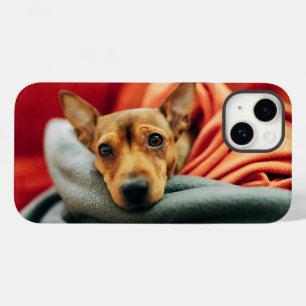 Coque Case-Mate iPhone Animaux de bébés cutest   Miniature Pinscher