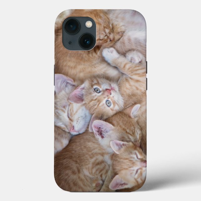 Coques Case-Mate iPhone Animaux de bébés cutest | Orange Kitten Pile (Verso)