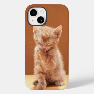 Coque Case-Mate iPhone Animaux de bébés cutest   Orange Tabby Kitten