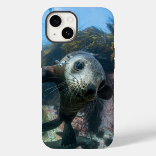 Coque Case-Mate iPhone Animaux de bébés cutest   Phoque sous-marin Cape F