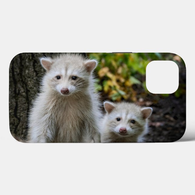 Coques Case-Mate iPhone Animaux de bébés cutest | Raccoons jeunes blonds (Verso (horizontal))