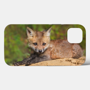 Case-Mate iPhone Case Animaux de bébés cutest Red Fox Pup