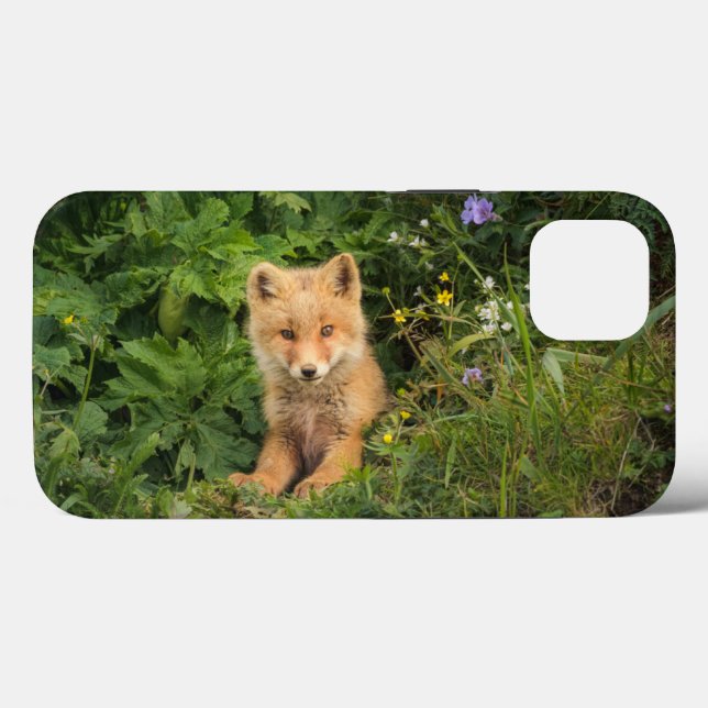 Coques Case-Mate iPhone Animaux de bébés cutest | Renard rouge à Umnak Ala (Verso (horizontal))