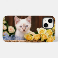 Animaux de bébés cutest | Roses chats et jaunes