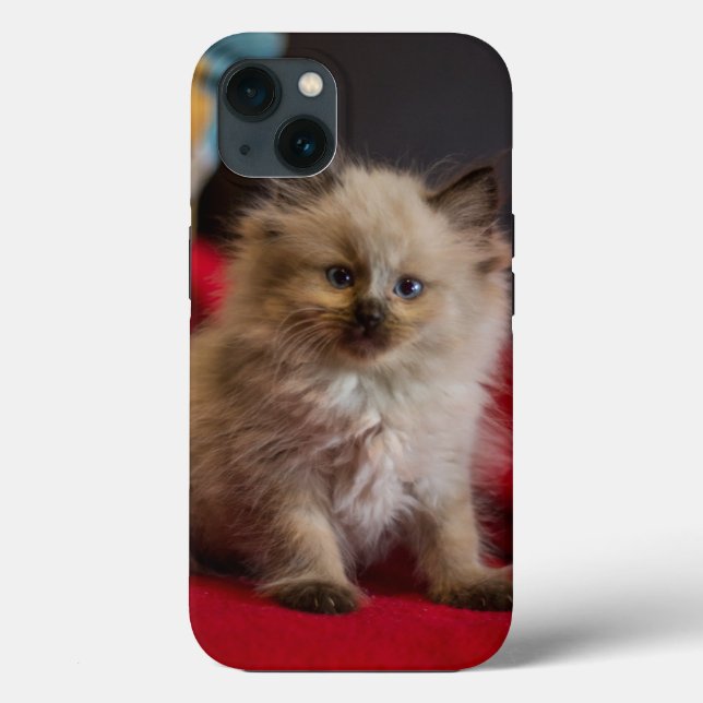 Coques Case-Mate iPhone Animaux de bébés cutest | Siamese Kitten (Verso)