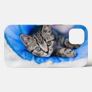 Case-Mate iPhone Case Animaux de bébés cutest Tunnel Tabby Kitten en J