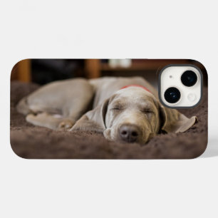 Coque Case-Mate iPhone Animaux de bébés cutest   Weimaraner Puppy Sleepin