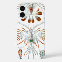 Animaux de l'océan vintage, Copepoda par Ernst Hae