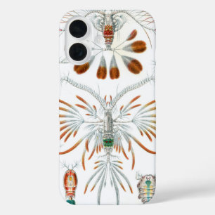 Coques iPhone 16 Animaux de l'océan vintage, Copepoda par Ernst Hae
