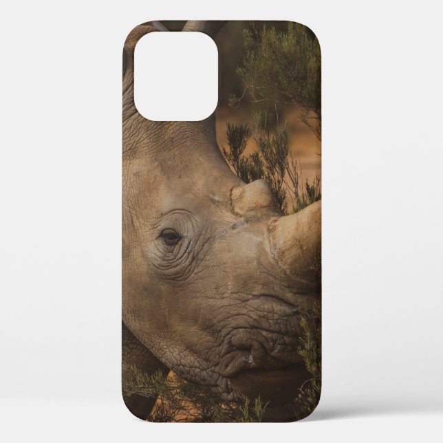 COQUES Case-Mate iPhone ANIMAUX SAUVAGES RHINO (Verso)