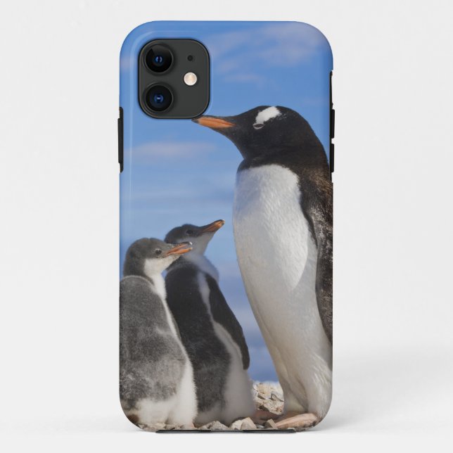 Coques Case-Mate iPhone Antarctique, Anse Neko (Port). Manchot gentoo 2 (Dos)