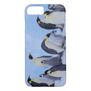 Coque iPhone 8/7 Antarctique, Emporer Penguins