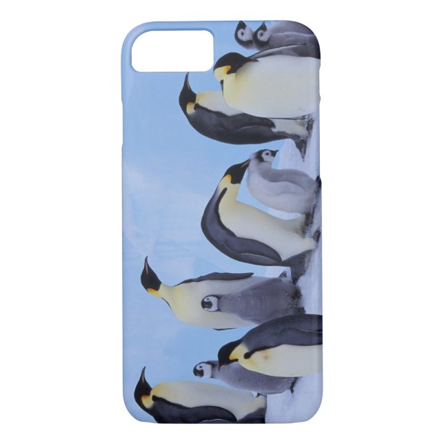 Coques Case-Mate iPhone Antarctique, Emporer Penguins (Dos)