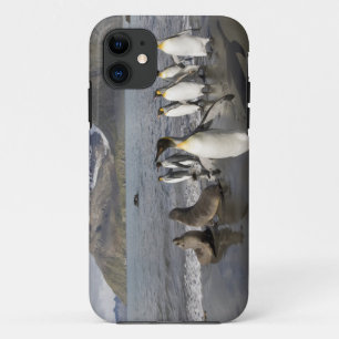 Coques Pour iPhone Antarctique, île de Géorgie du Sud (Royaume-Uni),