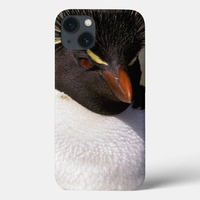Coques Case-Mate iPhone Antarctique, îles subantarctiques, Sud 5 (Verso)