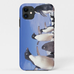 Coque Case-Mate iPhone Antarctique, Manchot Adélie Pygoscelis