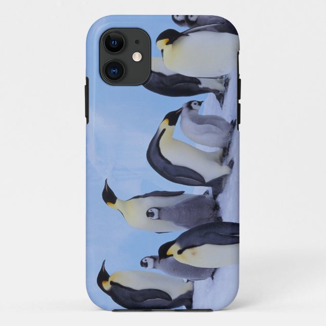 Coques Case-Mate iPhone Antarctique, Manchots Empereurs (Dos)