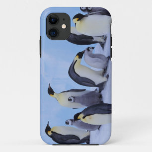 Coque Case-Mate iPhone Antarctique, Manchots Empereurs