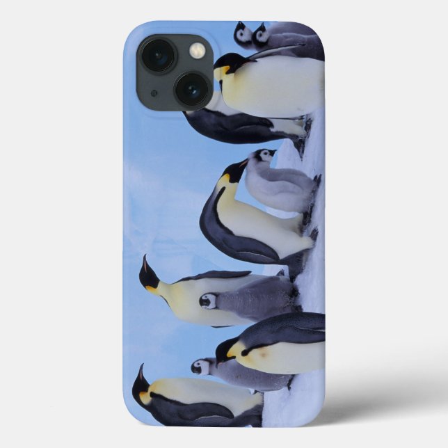 Coques Case-Mate iPhone Antarctique, Manchots empereurs (Verso)