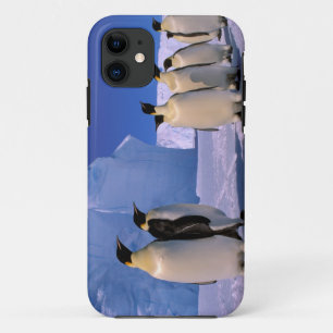 Coques Pour iPhone Antarctique, Territoire antarctique australien, 7