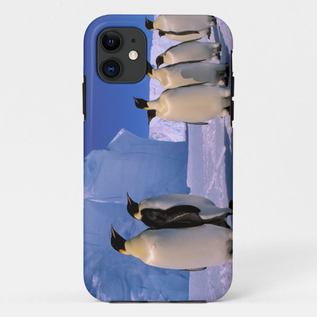 Coques Case-Mate iPhone Antarctique, Territoire antarctique australien, 7 (Dos)
