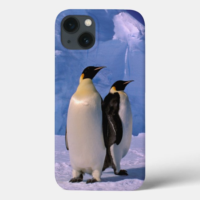 Coques Case-Mate iPhone Antarctique, Territoire antarctique australien, 7 (Verso)