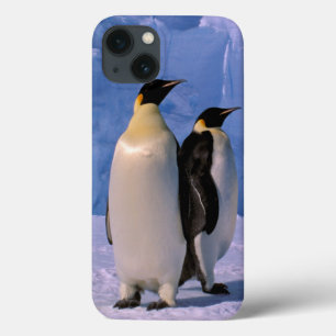 Etui iPhone Case-Mate Antarctique, Territoire antarctique australien, 7