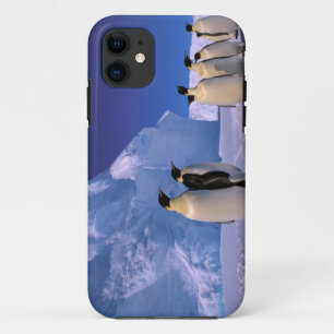 Coques Pour iPhone Antarctique, Territoire antarctique australien, 7