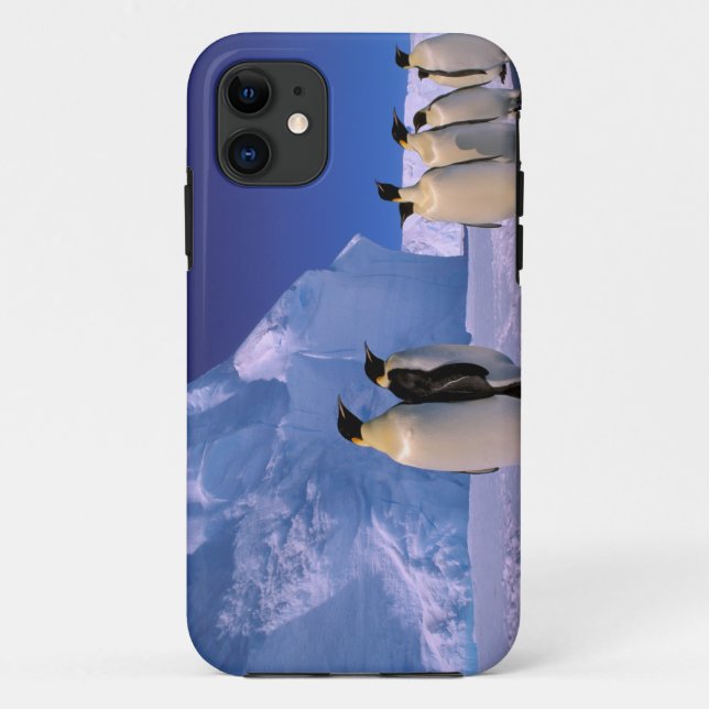 Coques Case-Mate iPhone Antarctique, Territoire antarctique australien, 7 (Dos)