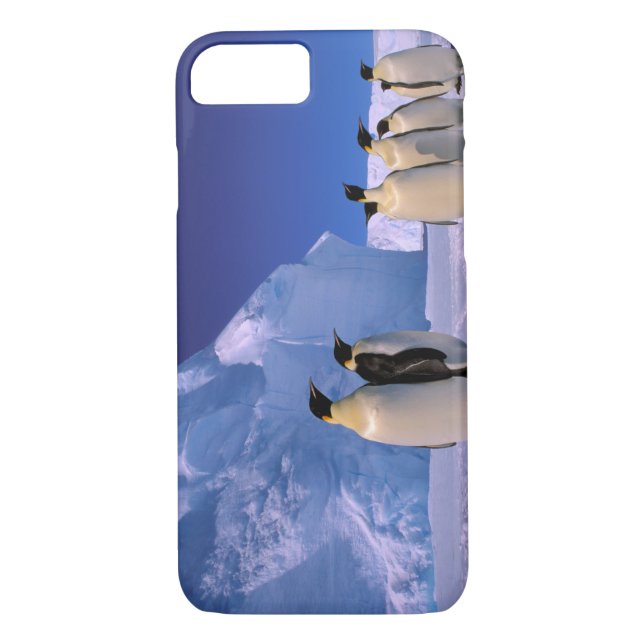 Coques Case-Mate iPhone Antarctique, territoire australien antarctique, 7 (Dos)