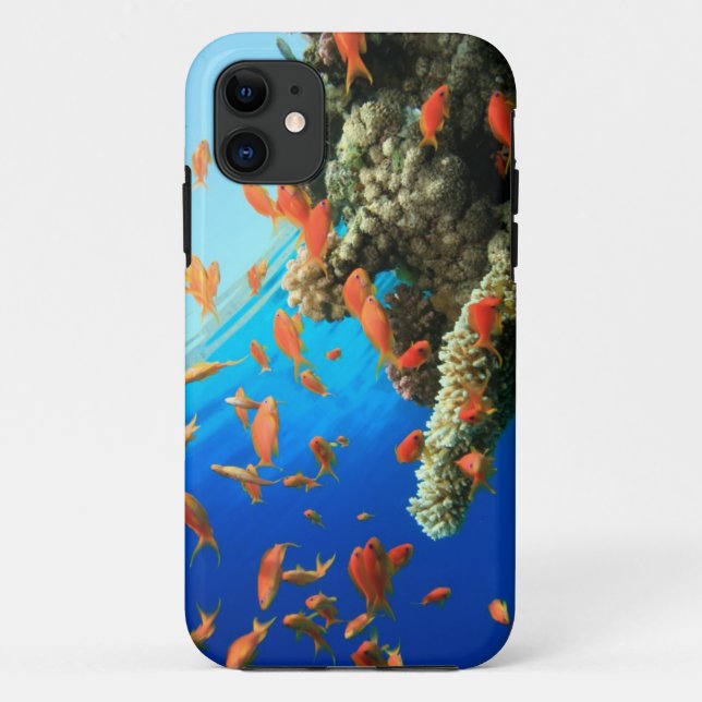 Coques Case-Mate iPhone Anthias de Lyretail sur le récif coralien (Dos)