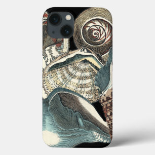 iPhone 13 Case Anthologie de coquillage