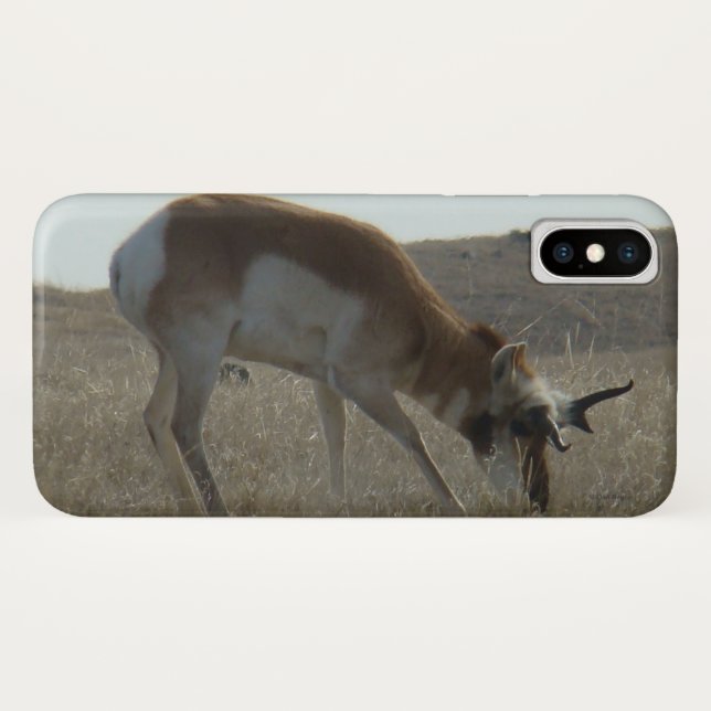 Coques Case-Mate iPhone Antilope d'Amérique A34 (Dos (Horizontal))