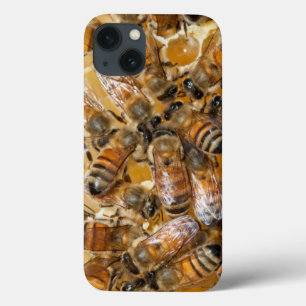 iPhone 13 Case Apiculture à Arlo's Honey Farm