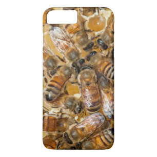 Coque Case-Mate Pour iPhone Apiculture à la ferme d'Arlo's Honey